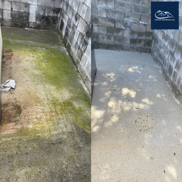 Dumpster Pad Cleaning in Raleigh, NC